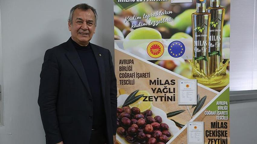 Milas Zeytinyağından sonra Çekişke zeytini de Avrupa korumasına giriyor