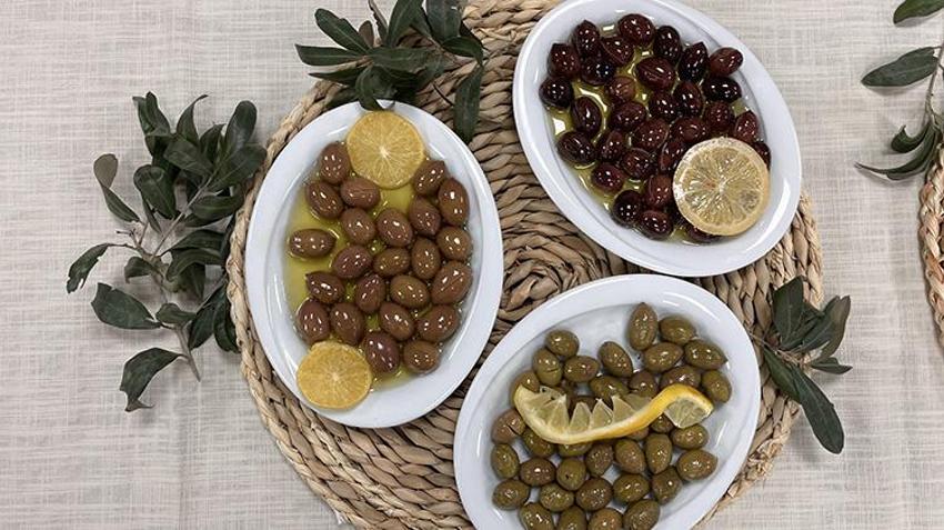 Milas Zeytinyağından sonra Çekişke zeytini de Avrupa korumasına giriyor