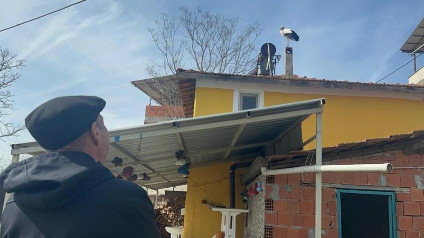 Bursa'da büyük heyecan: Adem Amca'nın gözü yollarda: Yaren Leylek geliyor! Eşi yuvaya ulaştı, heyecan dorukta