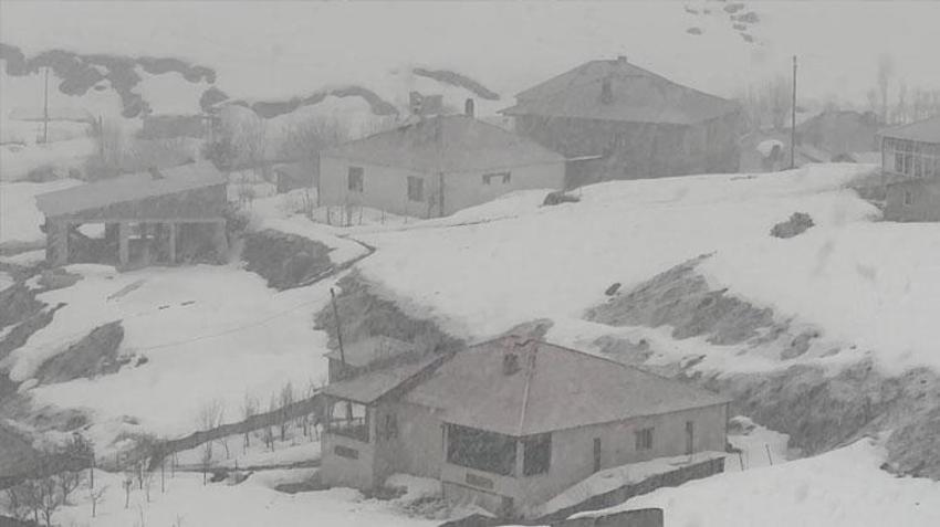 Hakkari Yüksekova’da lapa lapa kar yağışı başladı