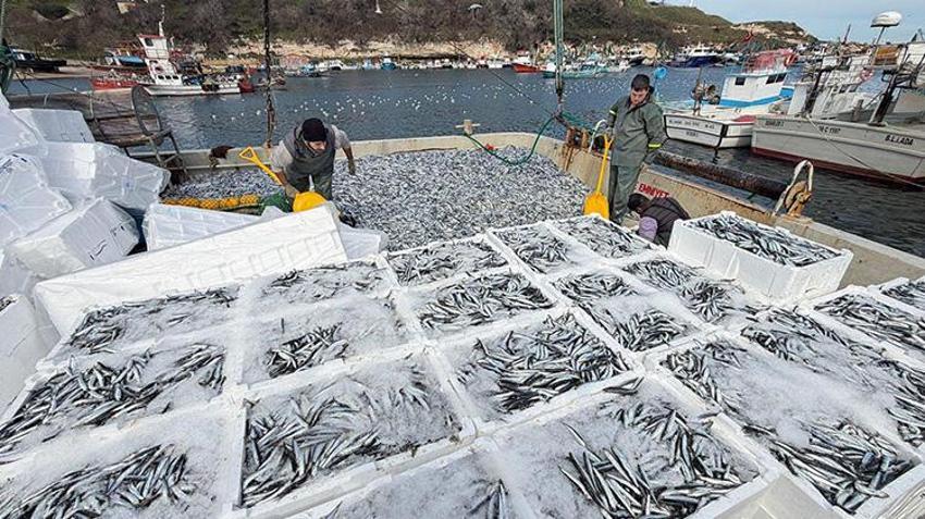 Kırklarelili kardeşlerin 6 saatlik balık avı rekorla bitti! Görenler gözlerine inanamadı
