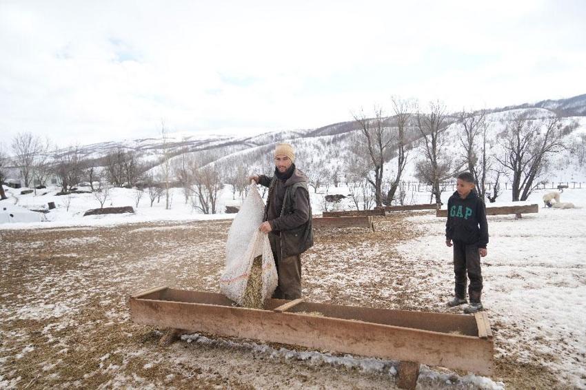 Muş'ta kış ve bahar aynı anda yaşanıyor! Kar kalınlığı 2 metreyi bulurken, Muş Ovası'nda bahar havası etkisini göstermeye başladı