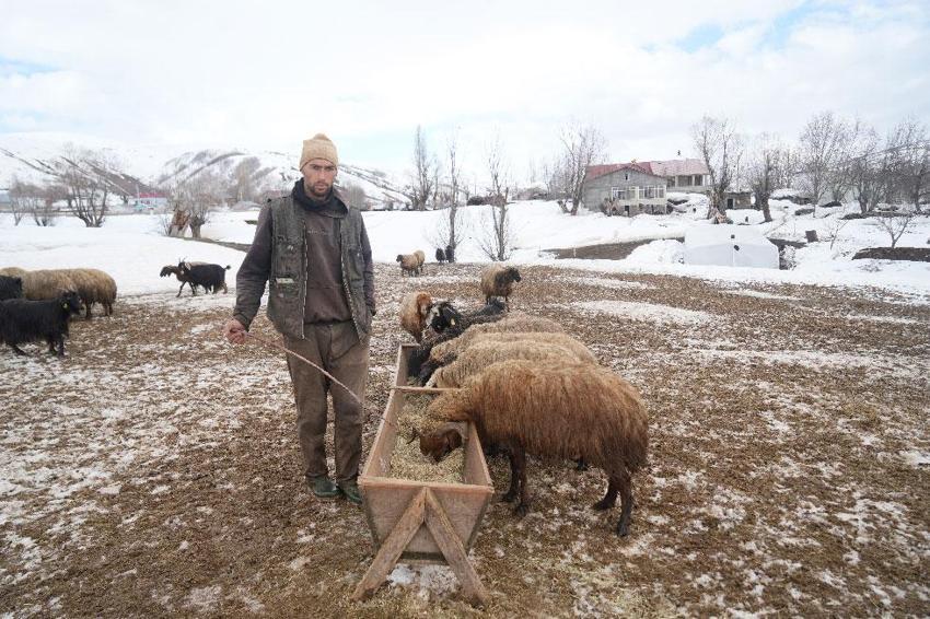 Muş'ta kış ve bahar aynı anda yaşanıyor! Kar kalınlığı 2 metreyi bulurken, Muş Ovası'nda bahar havası etkisini göstermeye başladı