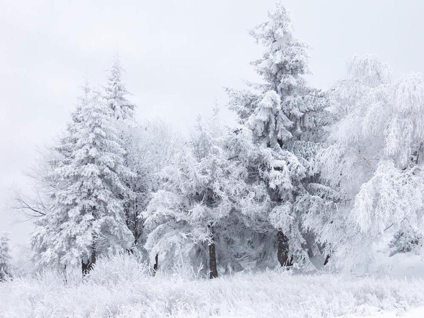 Kar geri dönüyor, kuvvetli yağışlar geliyor! Meteoroloji ve valilik İstanbul başta olmak üzere birçok şehri uyardı