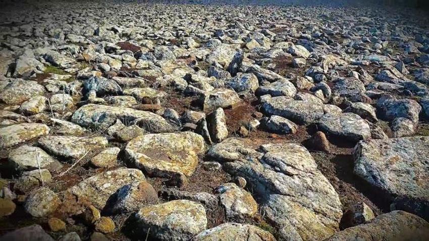 Şanlıurfa Viranşehir’de volkanik bazalt taşlarının altında cephanelik ele geçirildi: 8 gözaltı