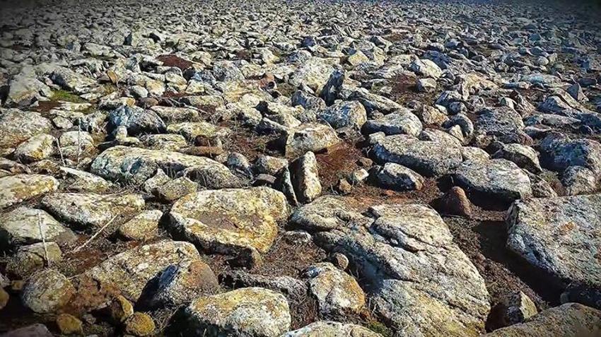 Bazalt taşların altından tarihi eserler çıkmadı! Şanlıurfa'da jandarma gerçeği ortaya çıkardı