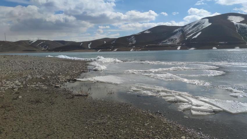 Van'da baraj suyunda görüldü: Dalgalar arasında belirginleşti
