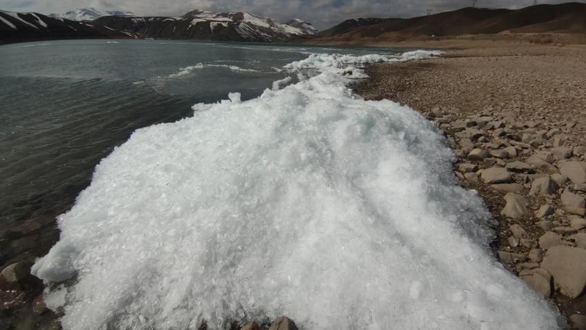 Van'da baraj suyunda görüldü: Dalgalar arasında belirginleşti