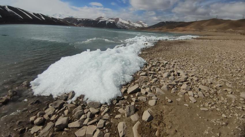 Van'da baraj suyunda görüldü: Dalgalar arasında belirginleşti