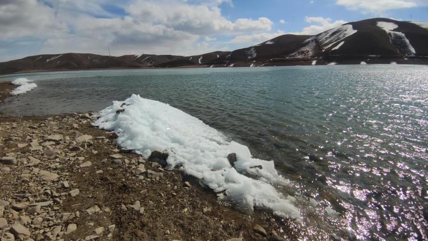 Van'da baraj suyunda görüldü: Dalgalar arasında belirginleşti