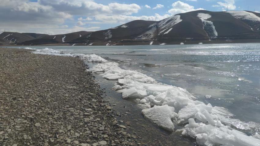 Van'da baraj suyunda görüldü: Dalgalar arasında belirginleşti