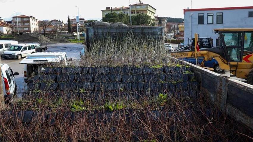 Bursa'da çiftçiye dev destek! Bu ürünleri ekenin geliri katlanacak