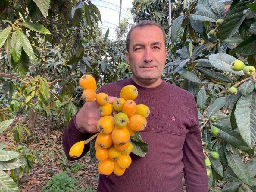 Mersin'de 'sarı altın' hasadı başladı! Üretici bile şaşırdı bu duruma: İlk paketler Dubai yolcusu