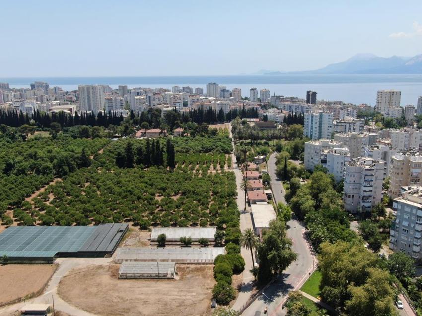 Türkiye’nin tarım haritası değişiyor: Son 20 yılda bir Antalya kadar toprak yok oldu!