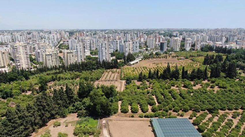 Türkiye’nin tarım haritası değişiyor: Son 20 yılda bir Antalya kadar toprak yok oldu!