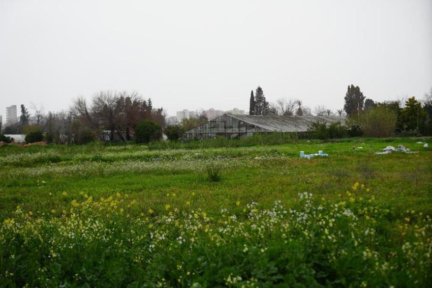 Türkiye’nin tarım haritası değişiyor: Son 20 yılda bir Antalya kadar toprak yok oldu!