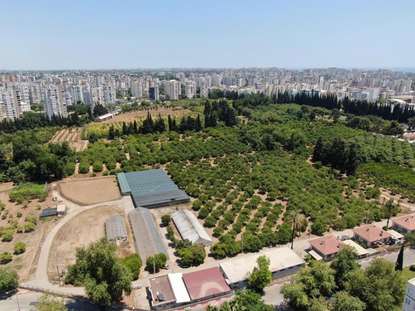 Türkiye’nin tarım haritası değişiyor: Son 20 yılda bir Antalya kadar toprak yok oldu!
