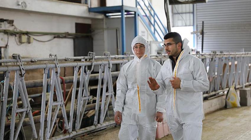 Üniversiteli çobandan teknoloji devrimi: 2 kuzuyla başladı, şimdi otonom çiftlik kuruyor!