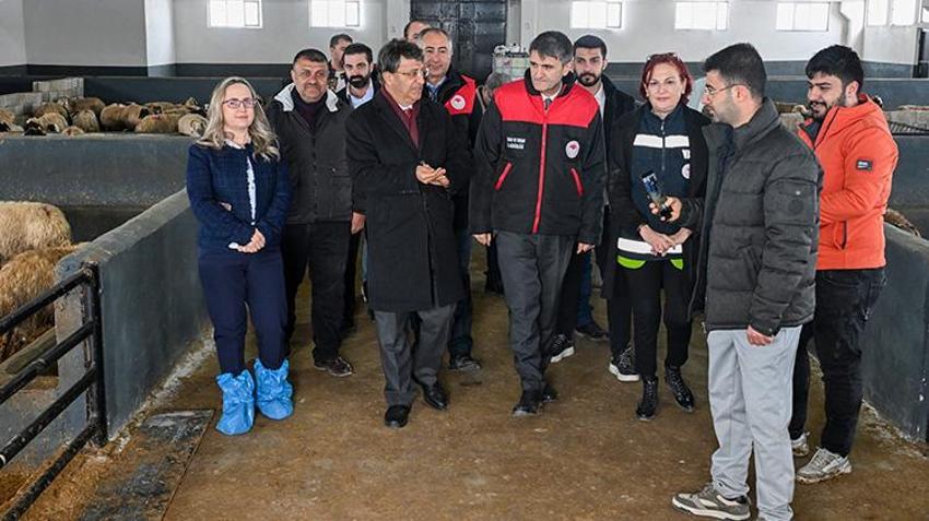 Kırsalda Bereket Küçükbaş Hayvancılığa Destek Projesi Van'da besicileri sevindirdi!