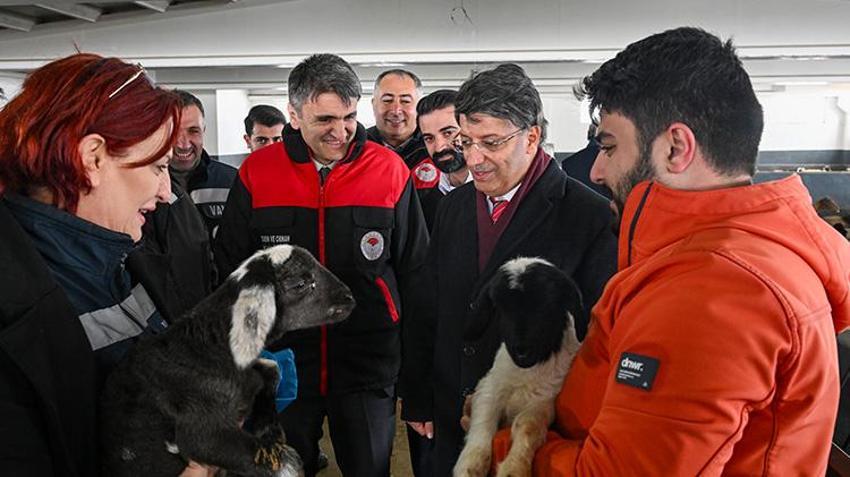 Kırsalda Bereket Küçükbaş Hayvancılığa Destek Projesi Van'da besicileri sevindirdi!