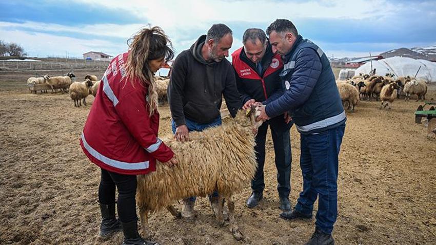 Kırsalda Bereket Küçükbaş Hayvancılığa Destek Projesi Van'da besicileri sevindirdi!