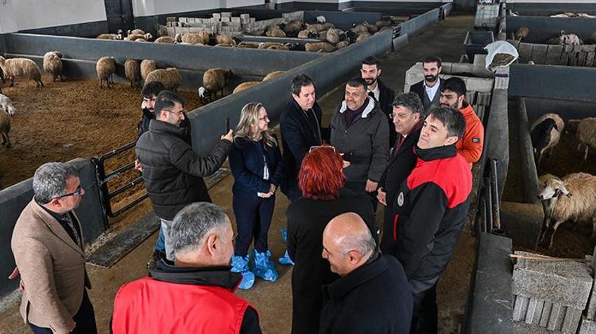 Kırsalda Bereket Küçükbaş Hayvancılığa Destek Projesi Van'da besicileri sevindirdi!