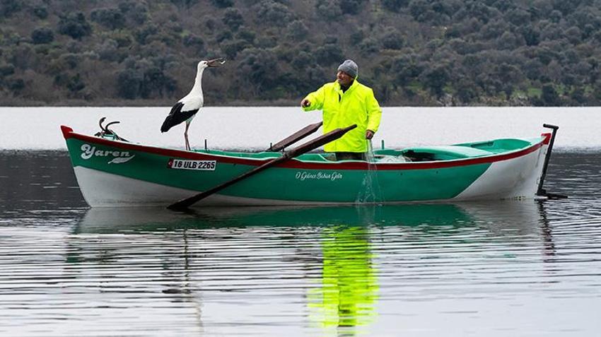 Yaren Leylek Geldi mi? Adem Amca ve Yaren Leylek 2026'da 15. Kez Buluştu!