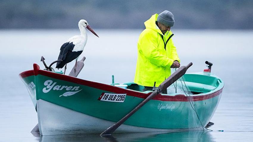 Yaren Leylek Geldi mi? Adem Amca ve Yaren Leylek 2026'da 15. Kez Buluştu!