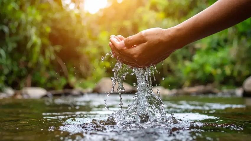 Türkiye'de tükense Malatya'da 5 tane var! Hazine gibi uzanıyor
