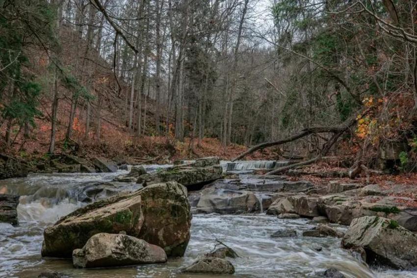 Türkiye'de tükense Malatya'da 5 tane var! Hazine gibi uzanıyor