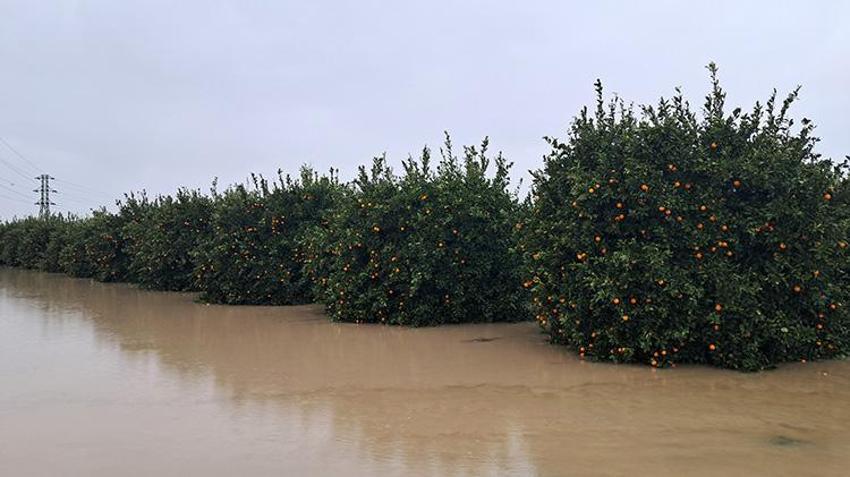 Antalya'da tarım felaketi! 14 bin hektar sular altında: Zarar 3 milyon liraya dayandı