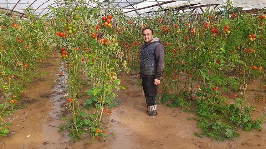 Antalya'da tarım felaketi! 14 bin hektar sular altında: Zarar 3 milyon liraya dayandı
