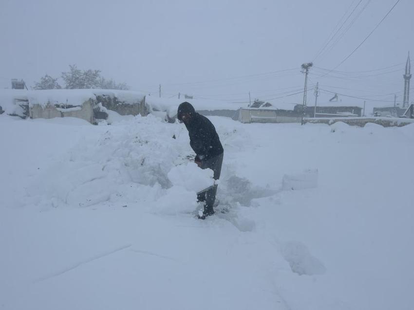 Kars'ta 50 yıl sonra rekor kırıldı! 70 köyde görüldü