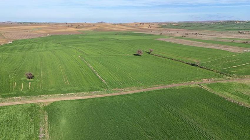 Edirne'de çiftçiye müjdeli haber: Bu üç uygulama doğru yapılırsa rekolte fırlayacak