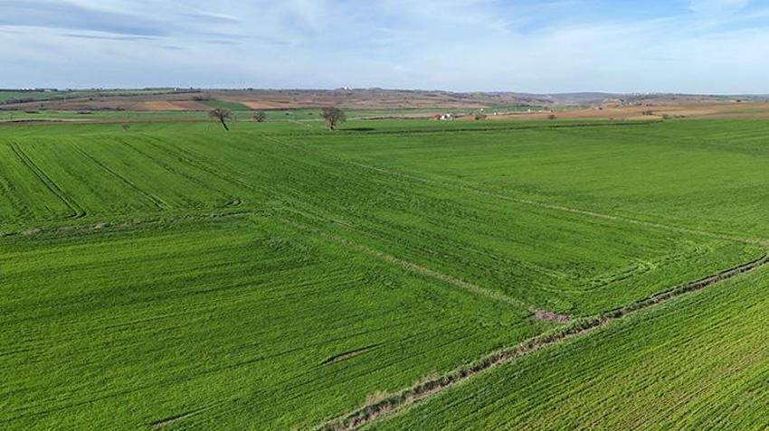 Edirne'de çiftçiye müjdeli haber: Bu üç uygulama doğru yapılırsa rekolte fırlayacak