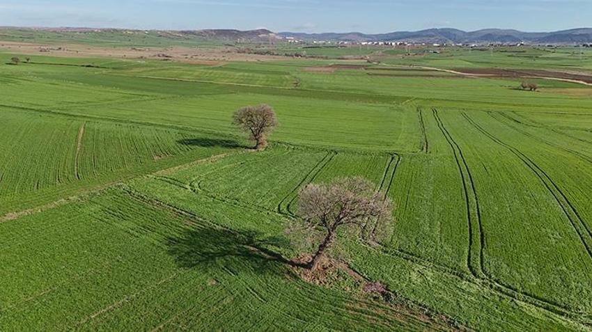 Edirne'de çiftçiye müjdeli haber: Bu üç uygulama doğru yapılırsa rekolte fırlayacak
