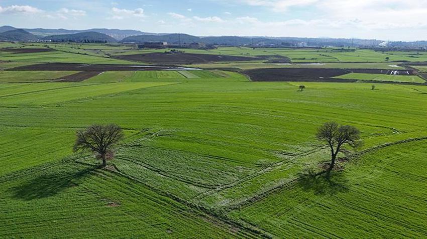 Edirne'de çiftçiye müjdeli haber: Bu üç uygulama doğru yapılırsa rekolte fırlayacak