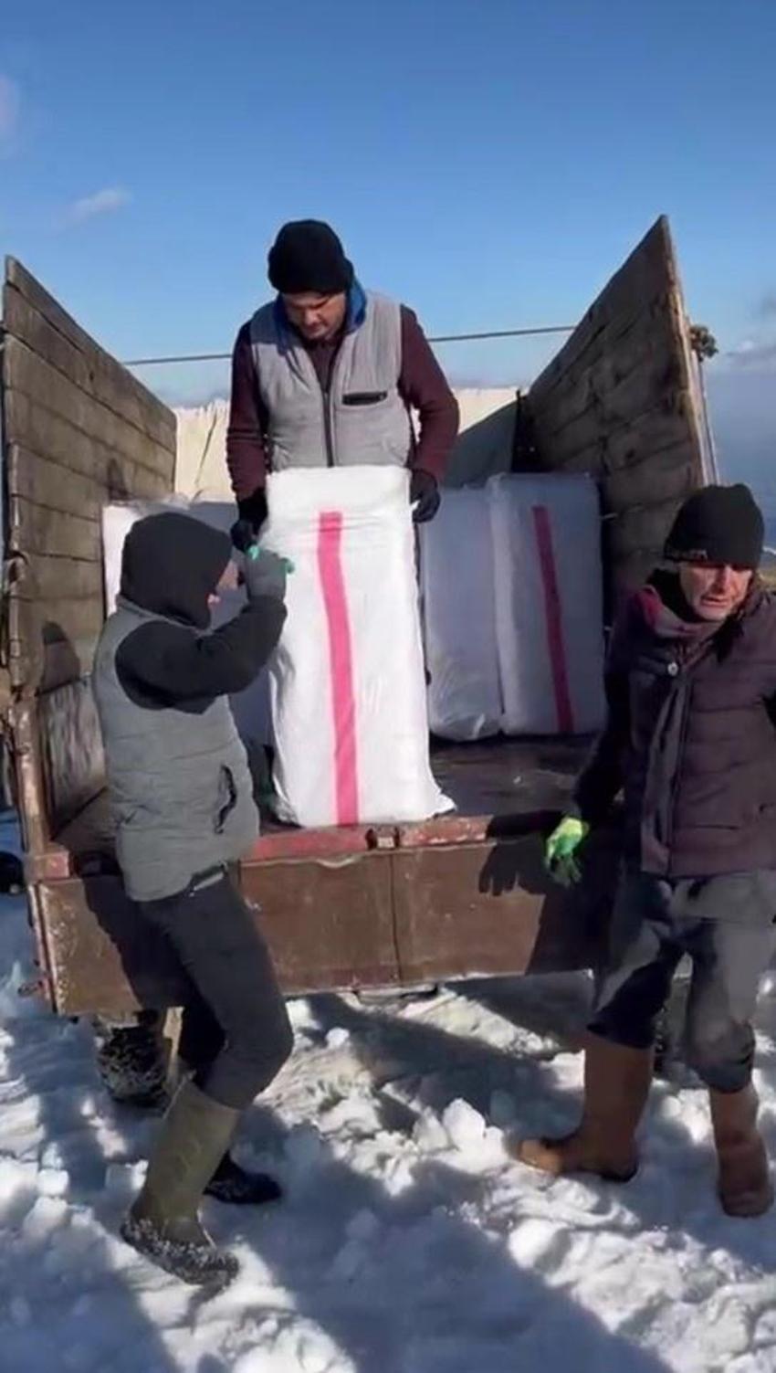 Bir ilçenin simgesiydi, dağlardan toplanır oldu! Yüzyıllık yönteme hazırlanıyor