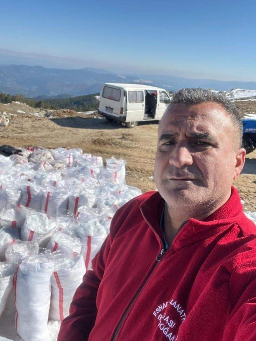 Bir ilçenin simgesiydi, dağlardan toplanır oldu! Yüzyıllık yönteme hazırlanıyor