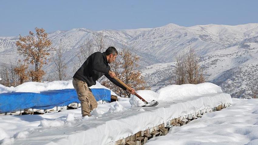 Bitlis'te arıcılar yaza hazırlık yaparak kışlamaya başladı!