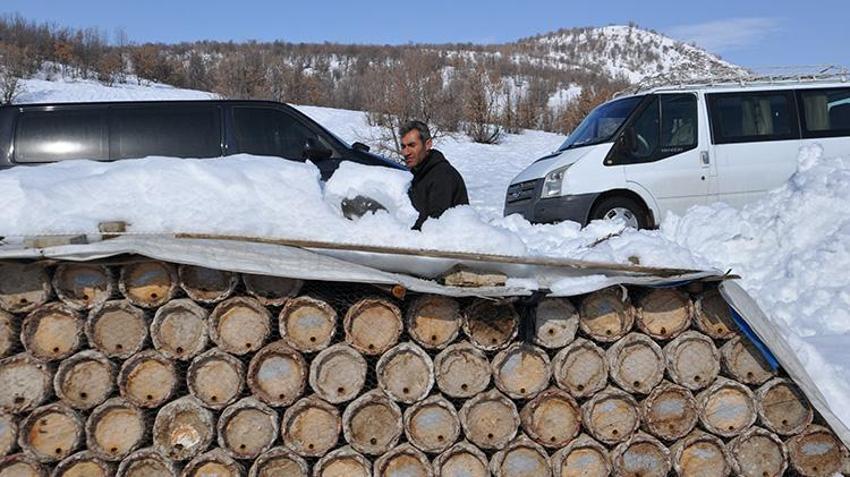 Bitlis'te arıcılar yaza hazırlık yaparak kışlamaya başladı!
