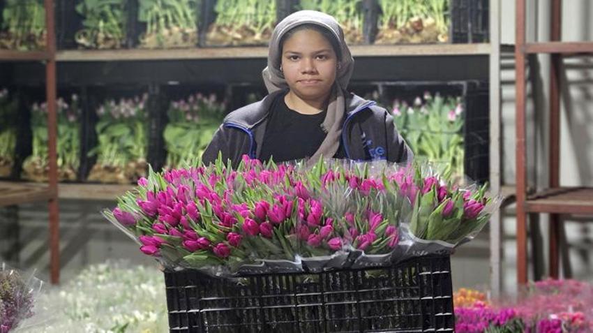 Türkiye'de tek! Sadece suyla 500 bin adet üretildi: Talep patladı, Antalya'dan tüm Türkiye'ye gönderiliyor