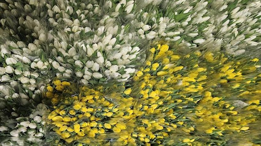 Türkiye'de tek! Sadece suyla 500 bin adet üretildi: Talep patladı, Antalya'dan tüm Türkiye'ye gönderiliyor