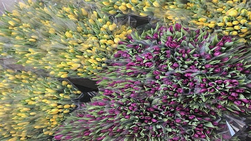 Türkiye'de tek! Sadece suyla 500 bin adet üretildi: Talep patladı, Antalya'dan tüm Türkiye'ye gönderiliyor