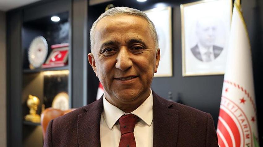 Gaziantepliler bu sene parayı bulacak! 'Yeşil altın'da rekor rekolte için her şey hazır