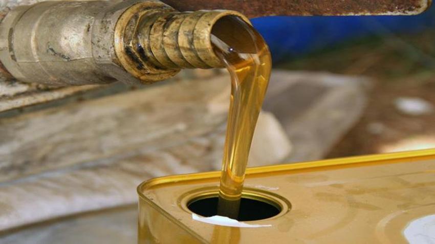 Türkiye bal ihracatında atağa kalktı: Hedef ihracat gelirini 7 kat artırmak