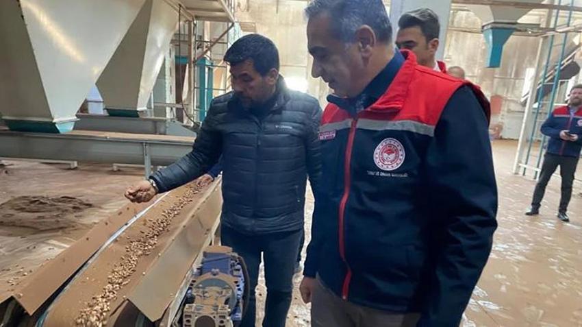 Aydın çam fıstığı dünyaya açılıyor! AB tescili meyvelerini veriyor, artık tüm dünyanın takibinde