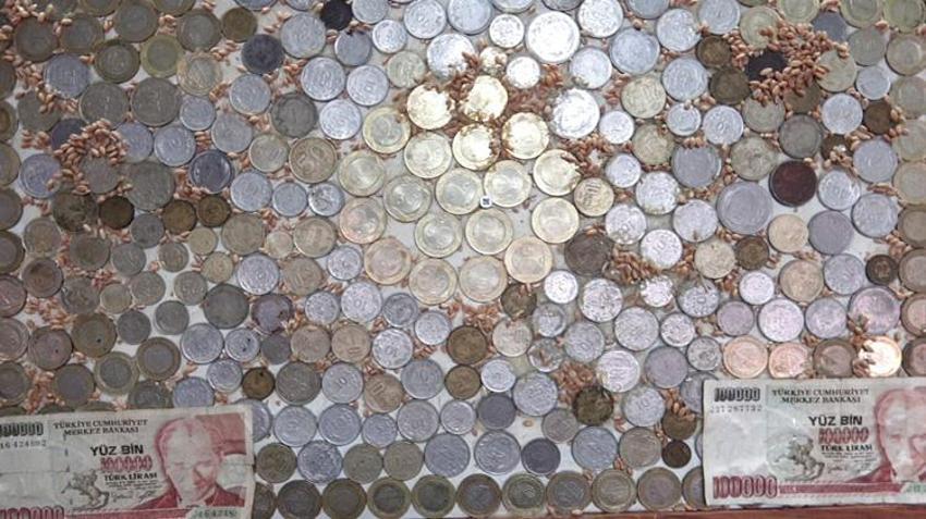 Kayserili esnaf komşusunda gördü, 20 yılını verdi! Satmıyor, gelen teklifleri geri çeviriyor: Görenler hayran kalıyor