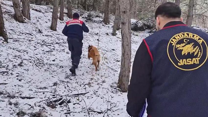 Bolu'da sır cinayetler çözüldü! 2 yıl önce ormanda kafatasları bulunmuştu