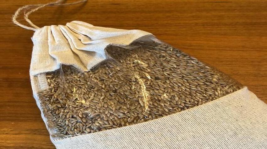 Liseli gençler keşfetti! Kıyıda buldular, sofraya getirdiler: Buğday ve arpaya rakip çıktı